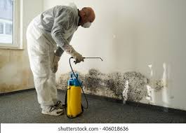 Best Residential Mold Inspection & Testing  in Rineyville, KY